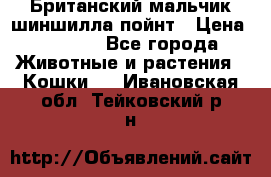 Британский мальчик шиншилла-пойнт › Цена ­ 5 000 - Все города Животные и растения » Кошки   . Ивановская обл.,Тейковский р-н